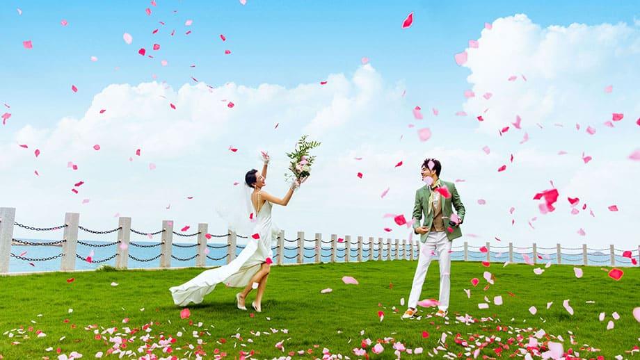 ANCNZH_WeddingVenues_920x518.jpg