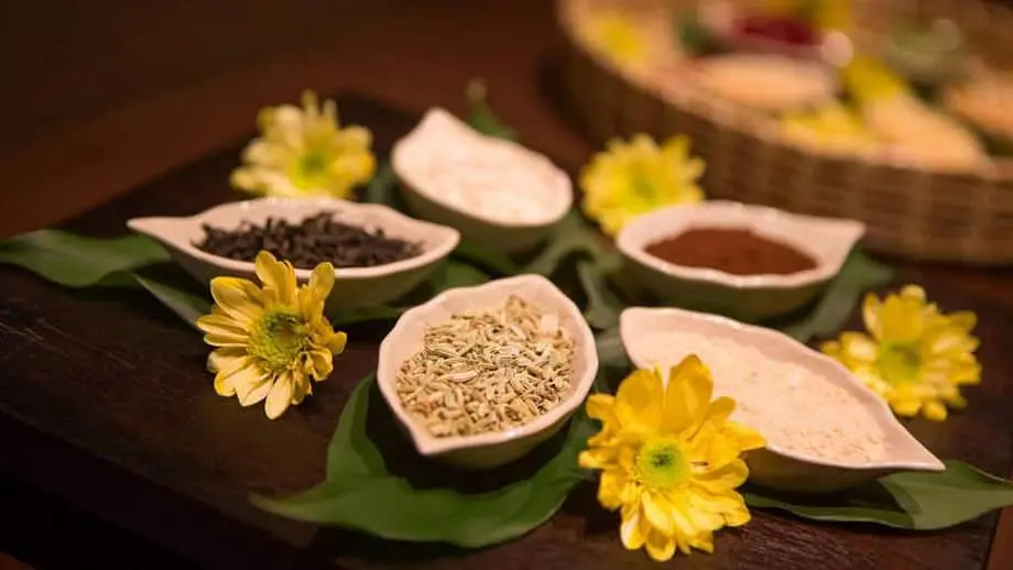 ans-xian-intro-2.jpg