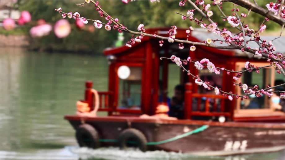 exp1_plum_blossom_920x518.jpg
