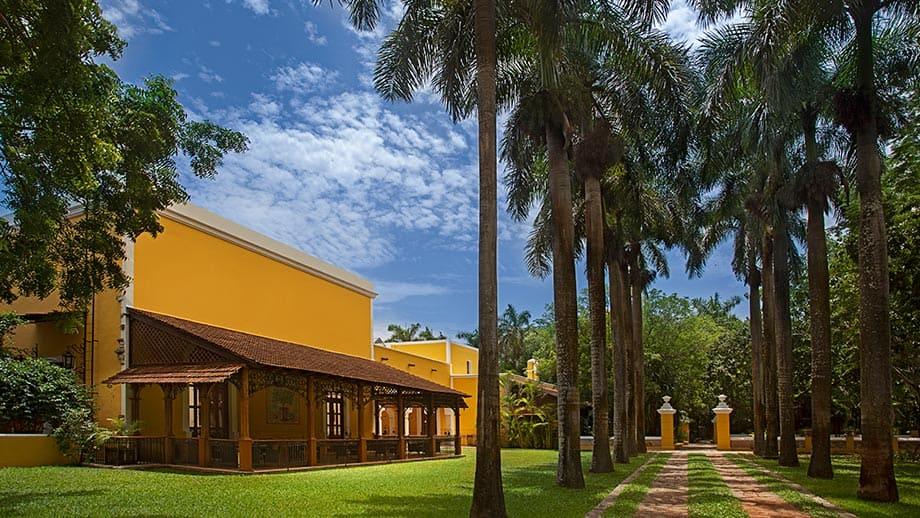 palmeras-garden.jpg