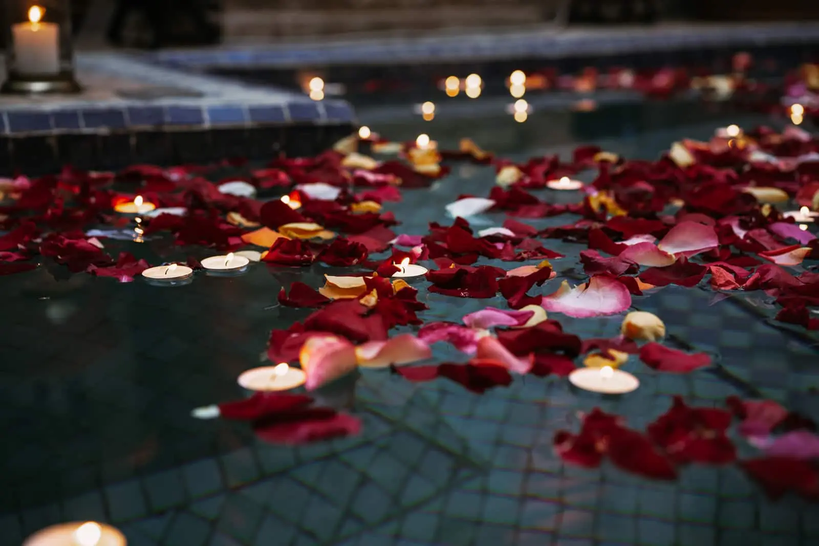 Fleur piscine