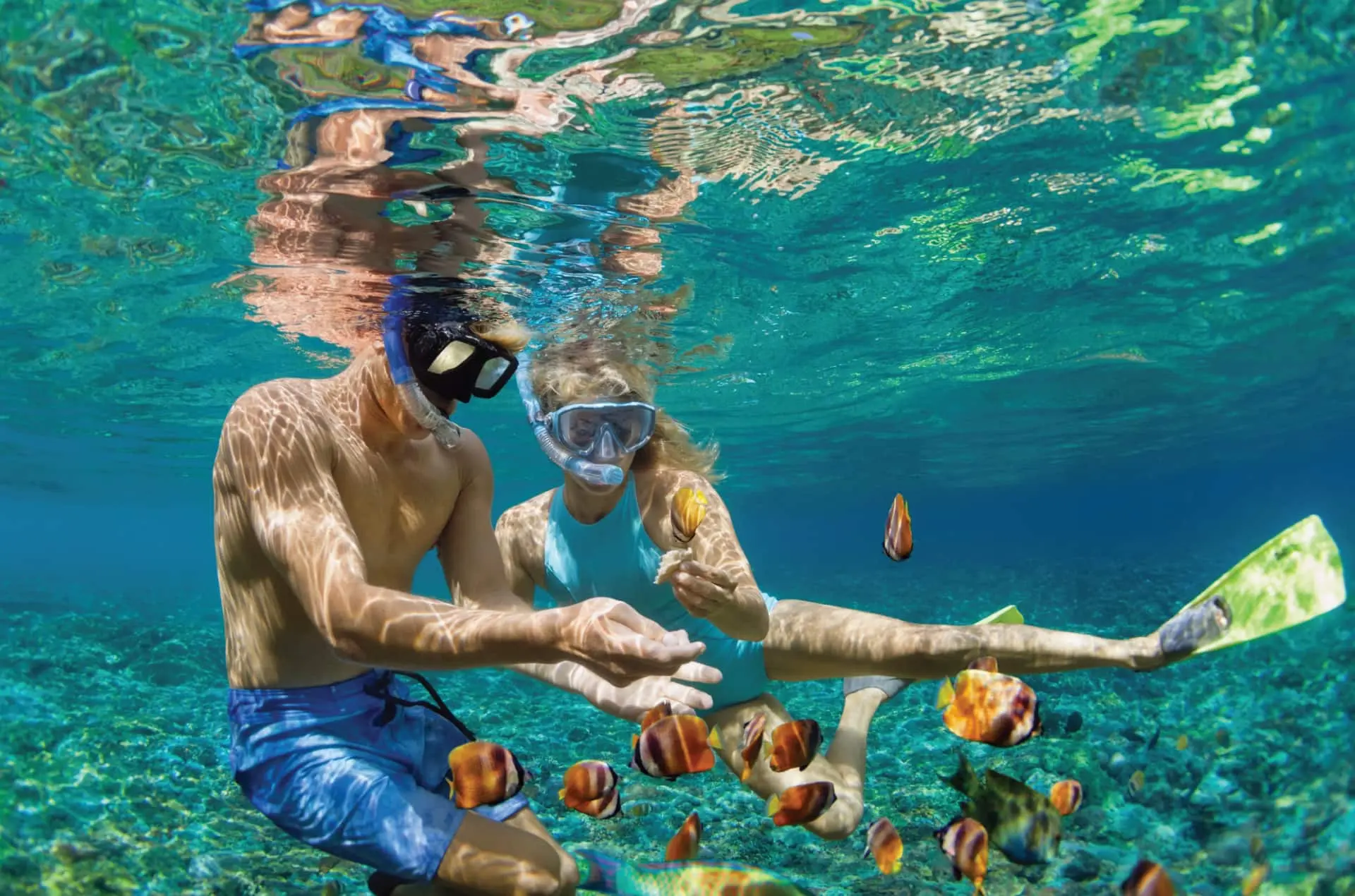 water activity