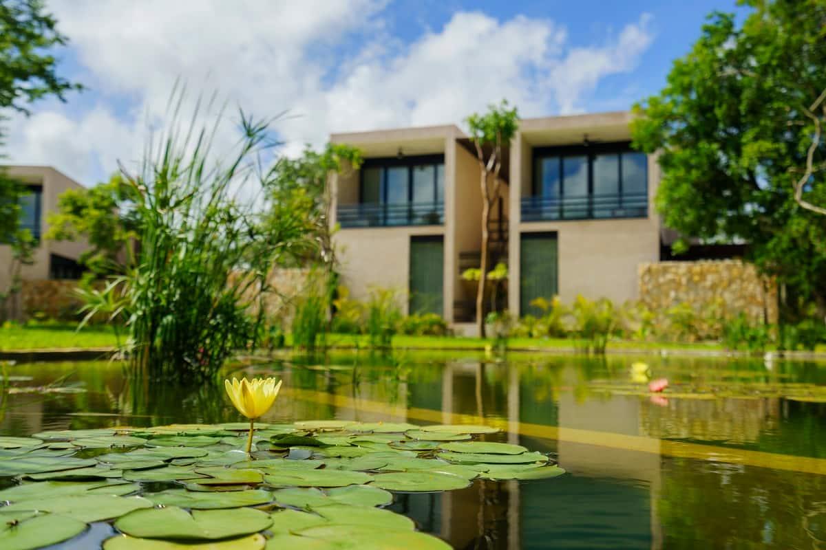 Hacienda suite