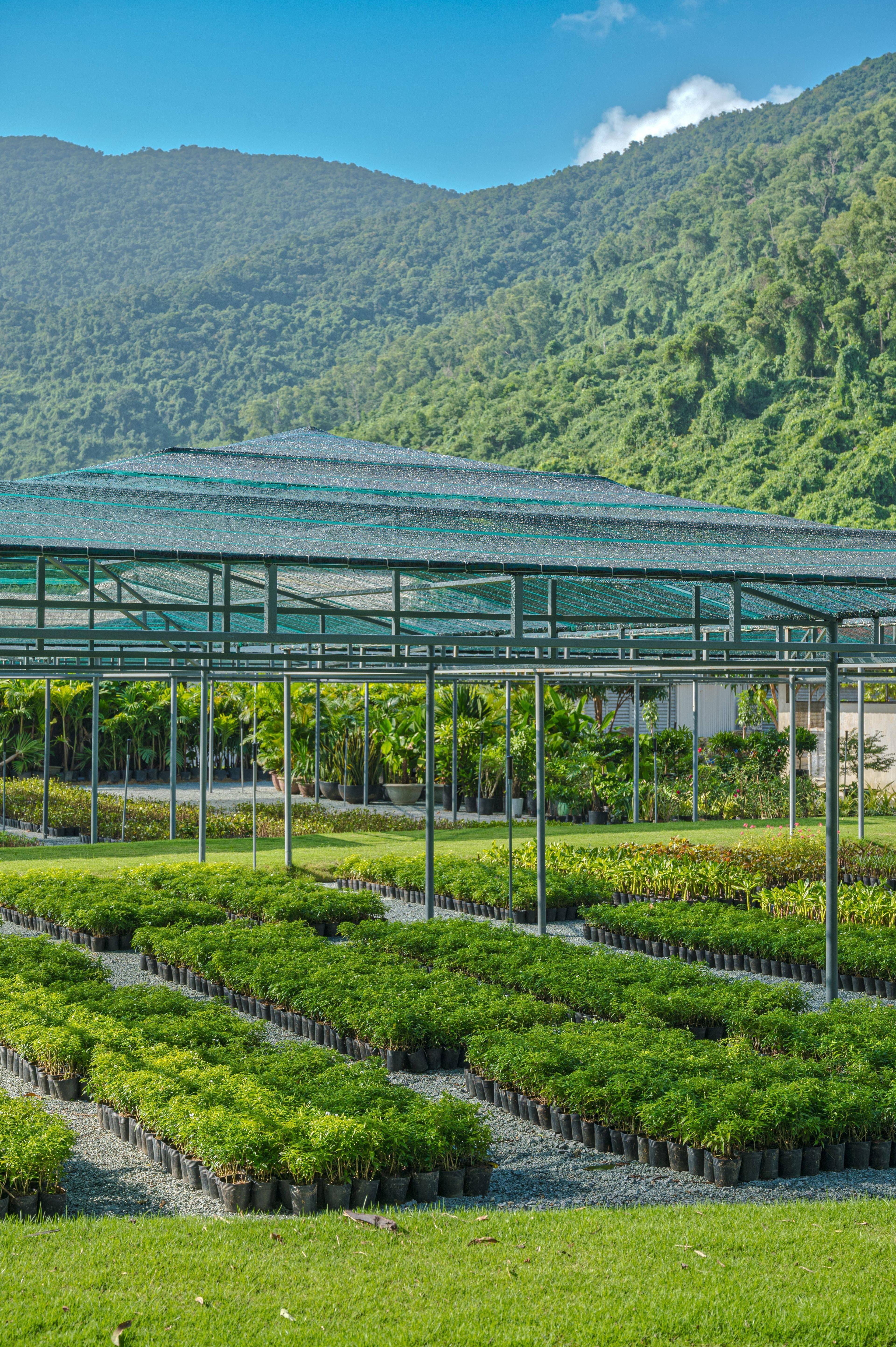 Angsana On-site Garden