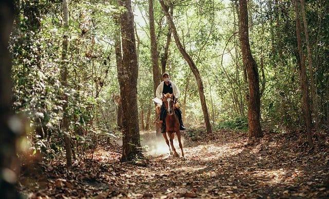 horse riding 