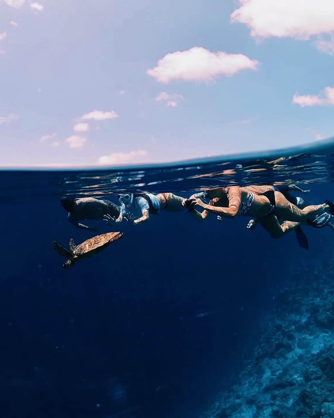 Angsana Velavaru - Snorkelling Explorer