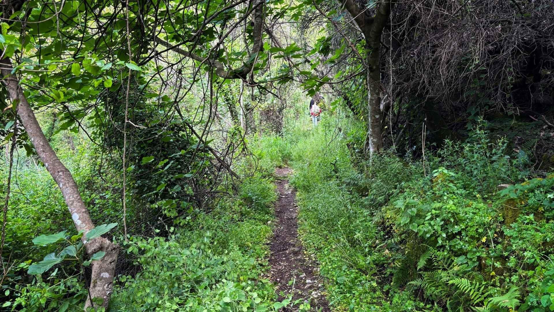 hiking in corfu