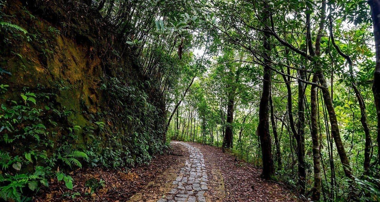 trekking