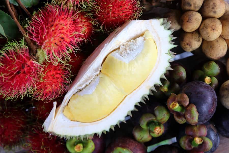 anmypn_fruitfarm_penang