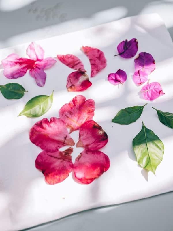 Plant Printing