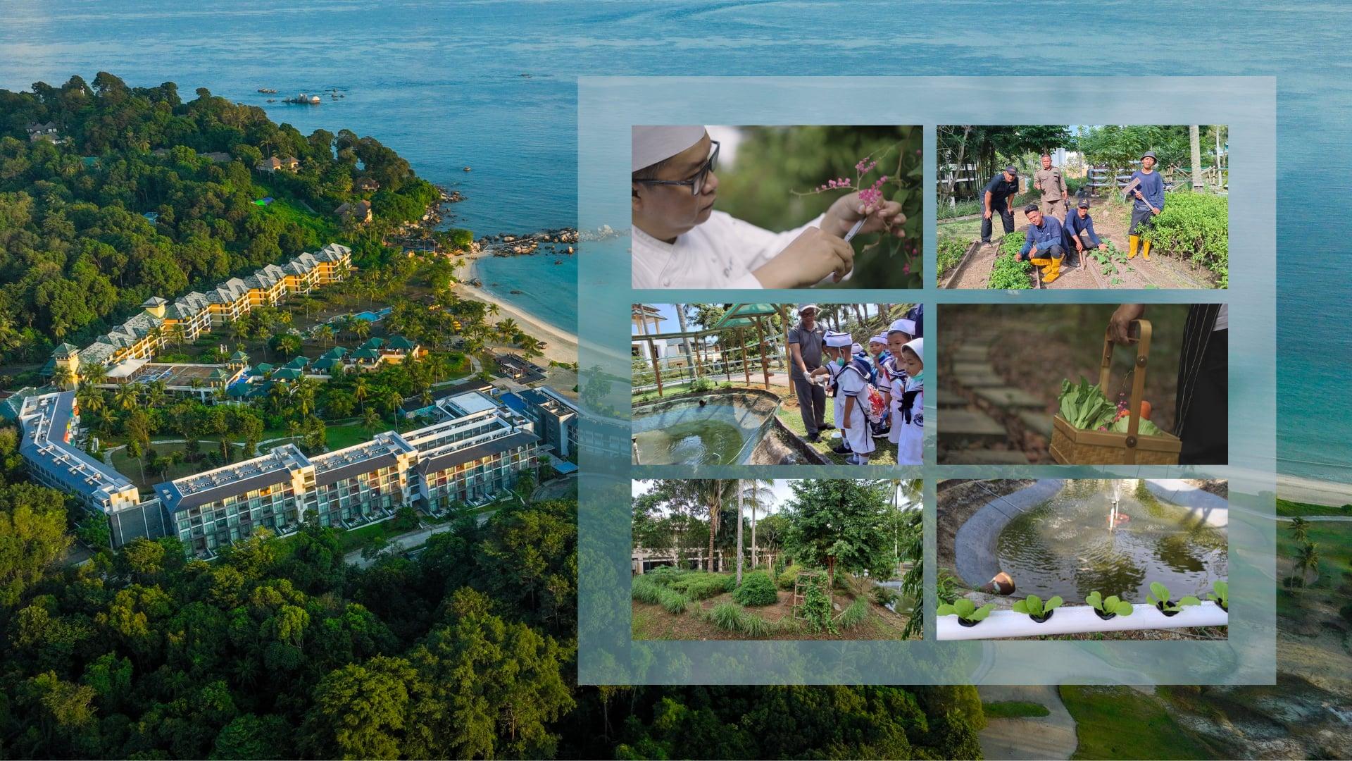 Sustainable Farming Angsana Bintan
