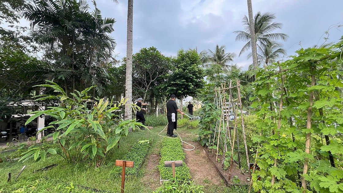 Sustainbale Farm