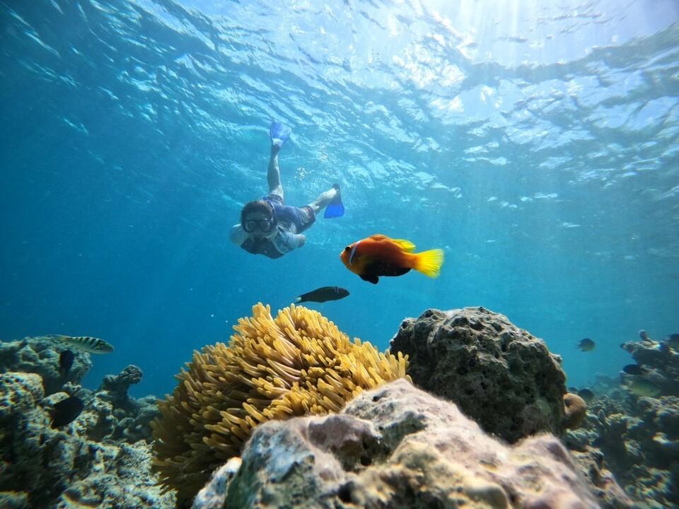 Velavaru Diving 