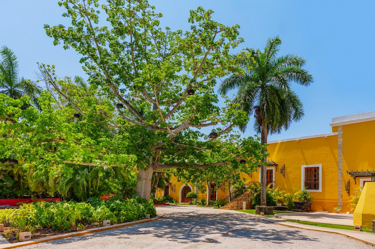 Hacienda Xcanatun lobby arial Merida