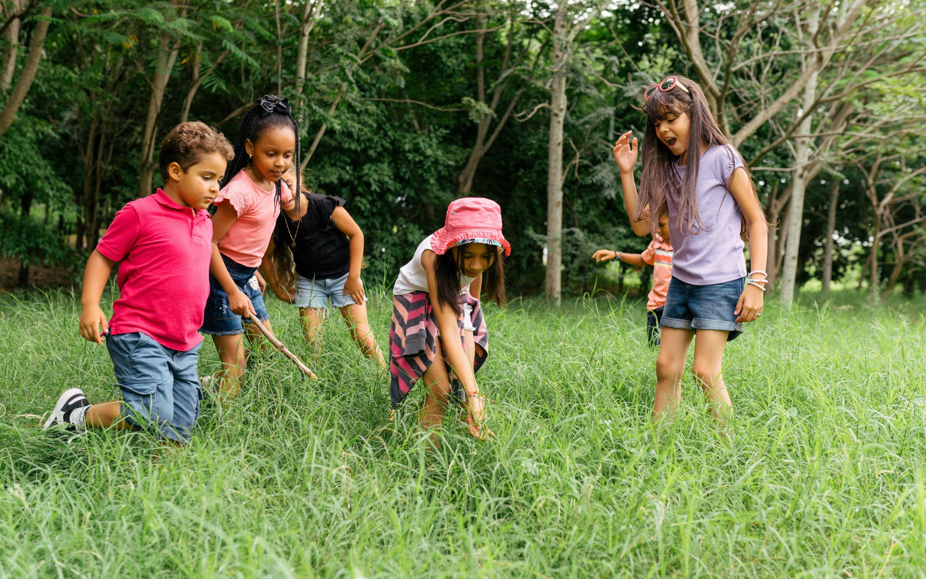 Biodiversity Learning Trail
