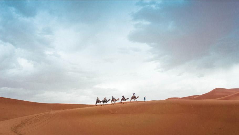experiences-camel-ride.jpg