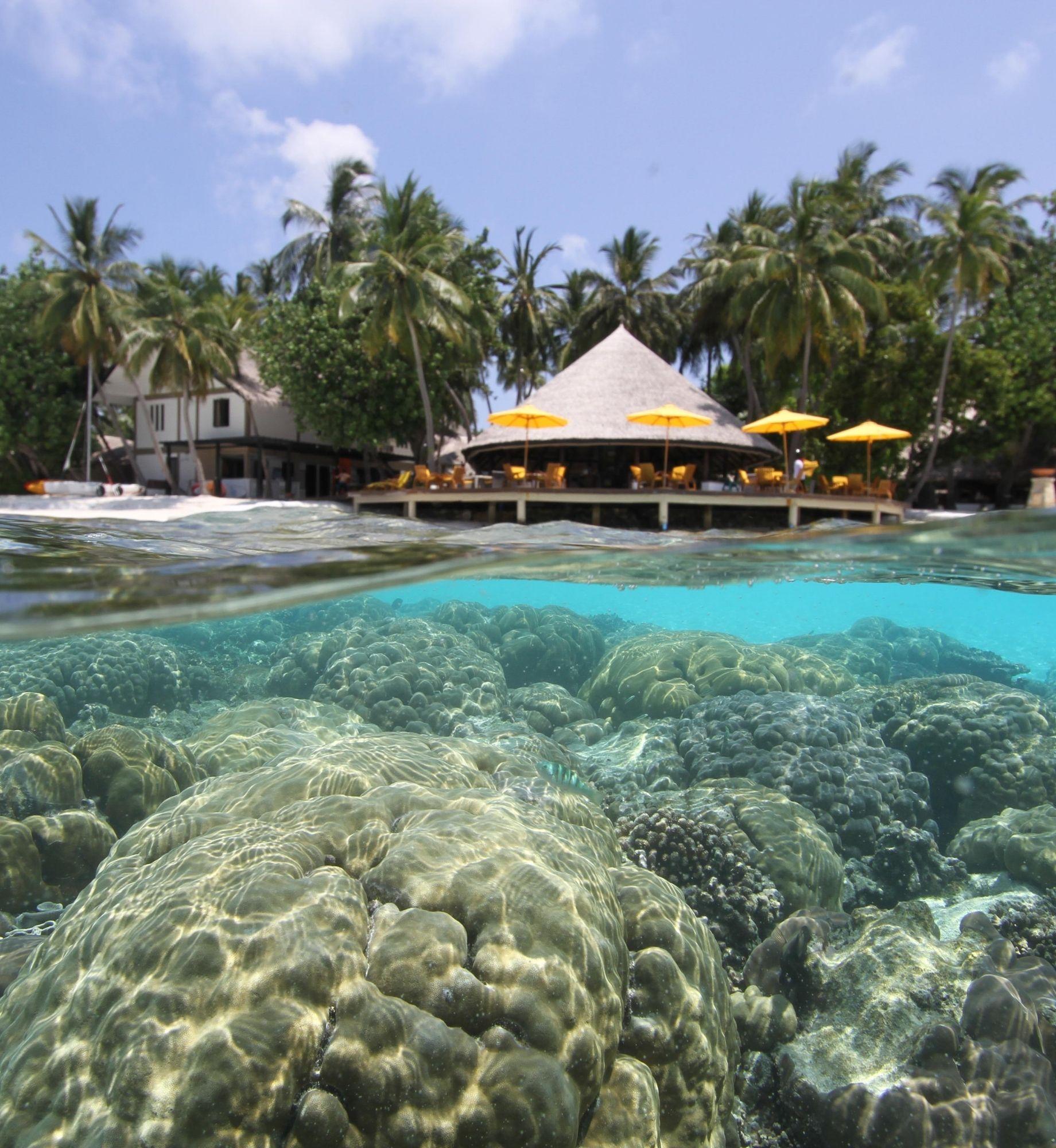 Angsana Ihuru Maldives House Reef