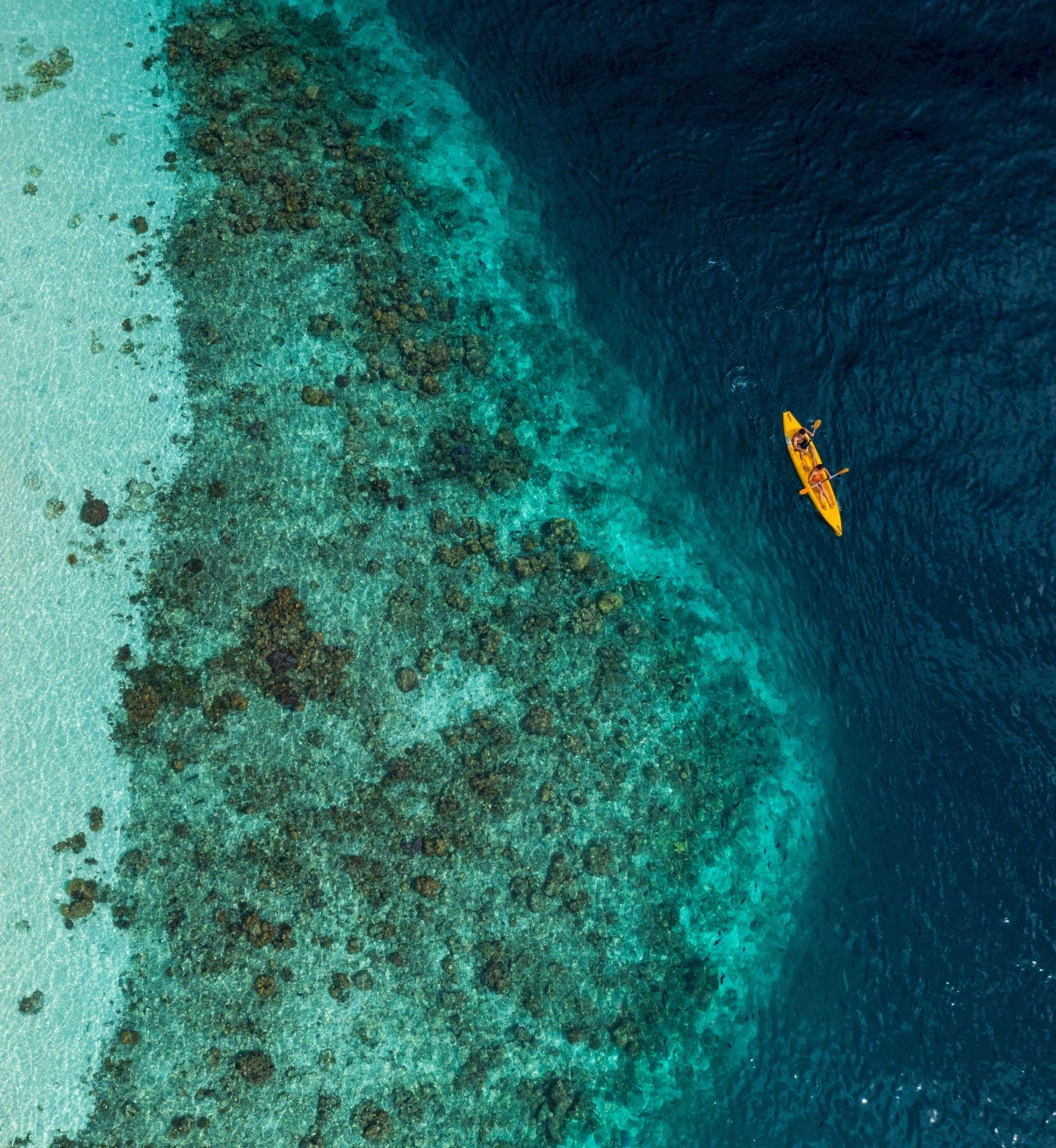 Angsana Ihuru Maldives Reef