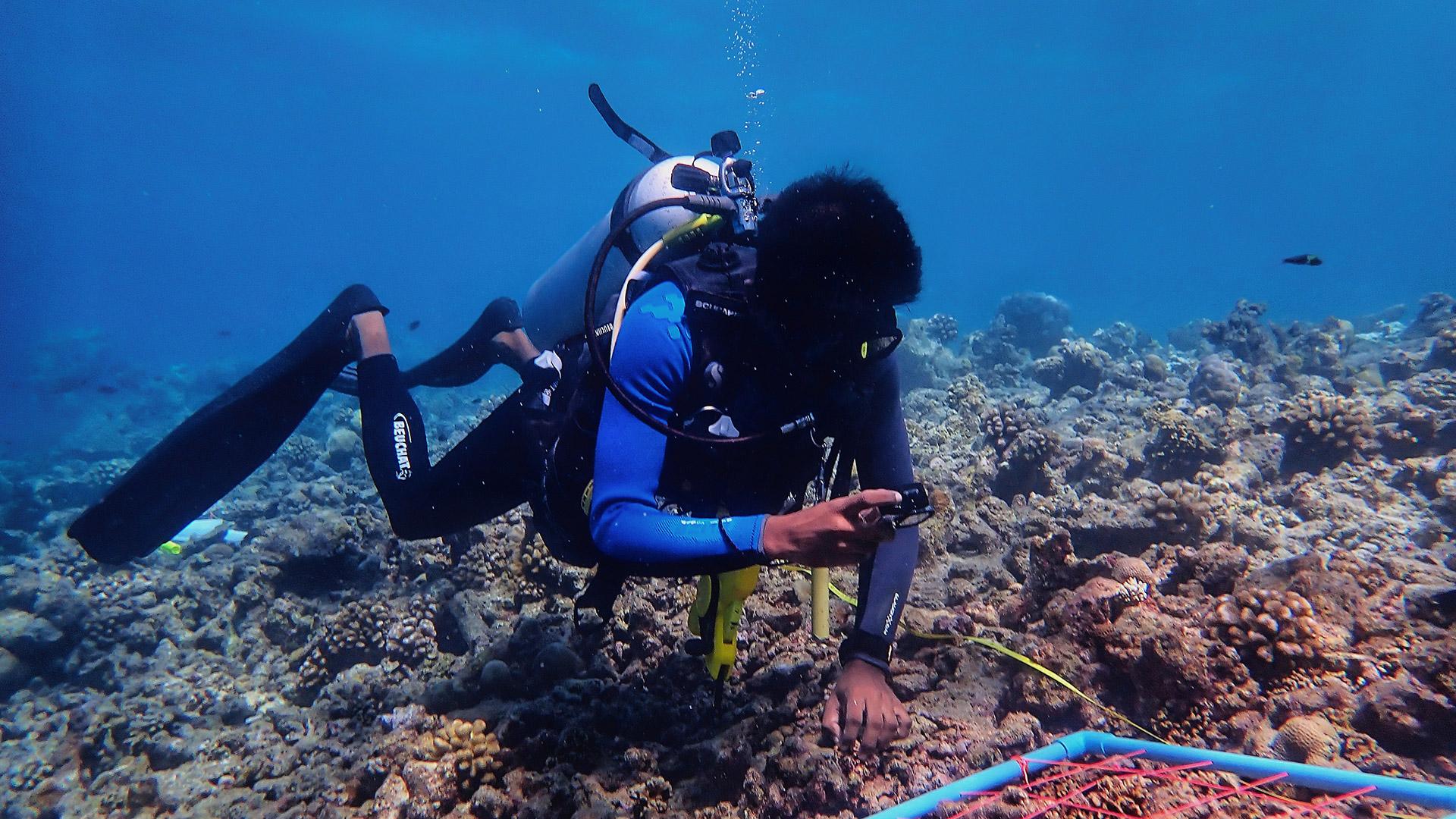 reef monitoring