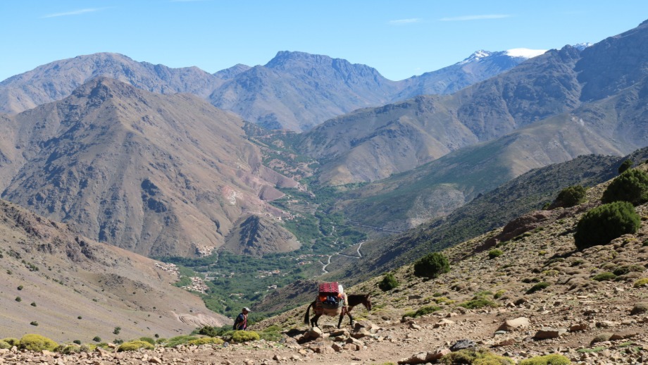 atlas-mountains-trek.jpg