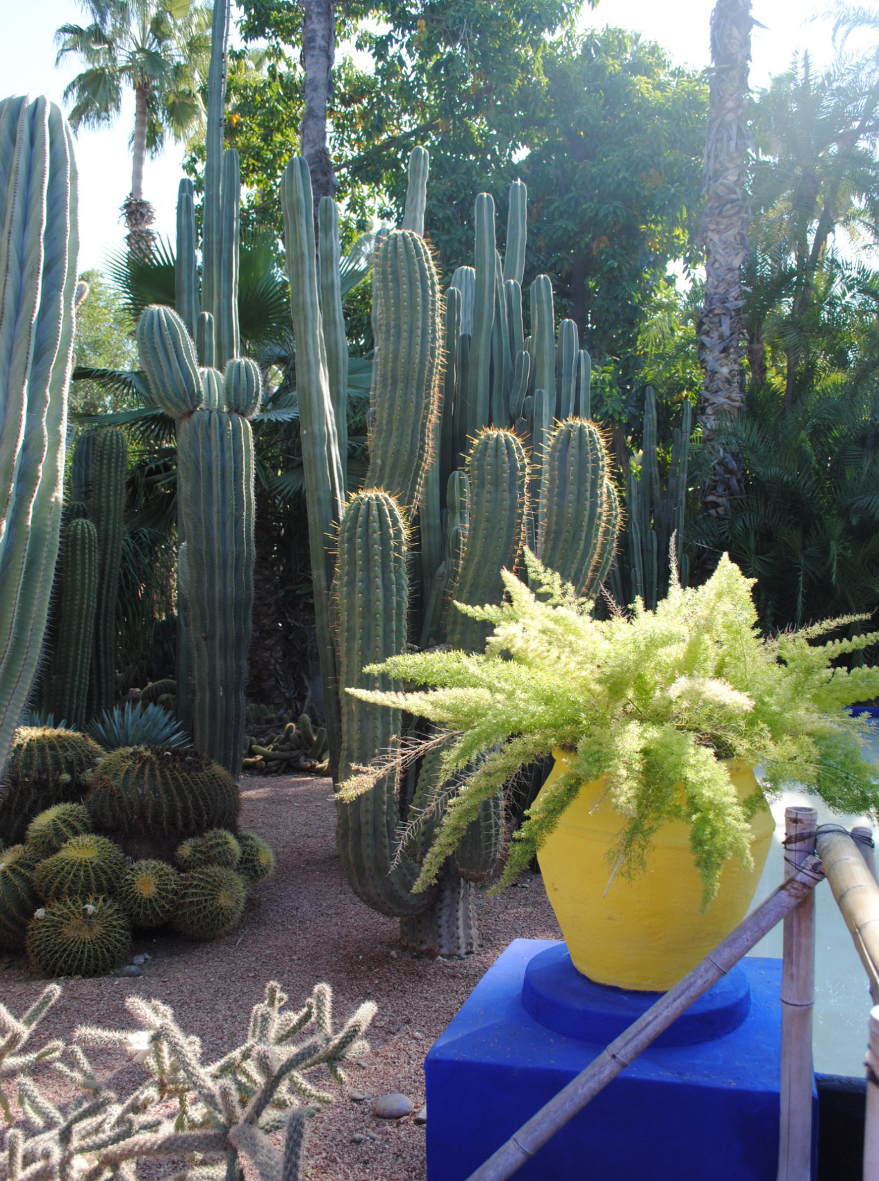 experiences-jardin-majorelle.jpg
