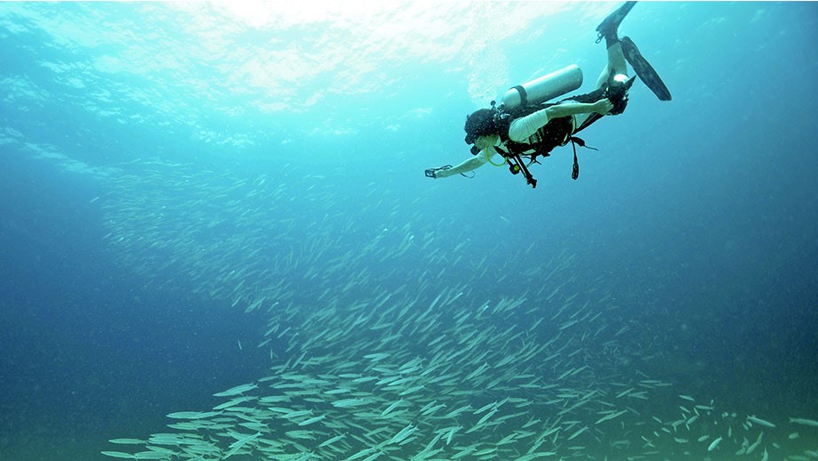 diving-phuket.jpg
