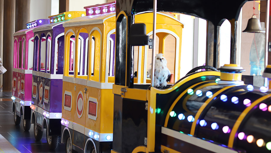 xi'an child programme train