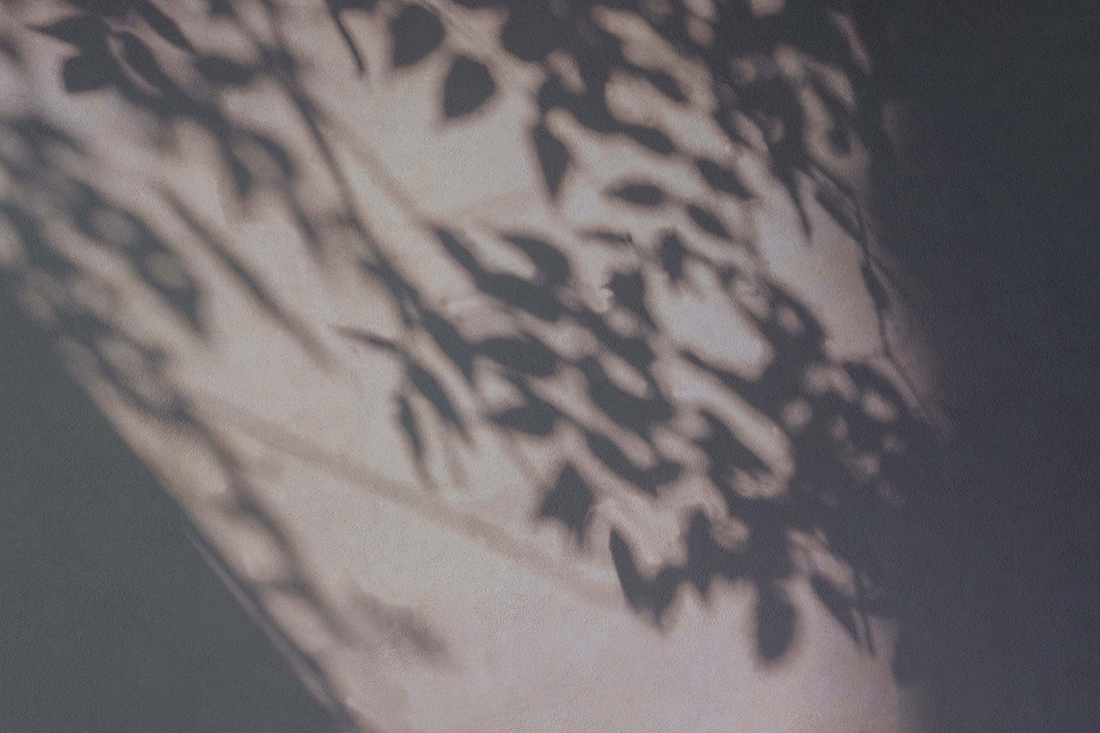 Image 62: background leaves