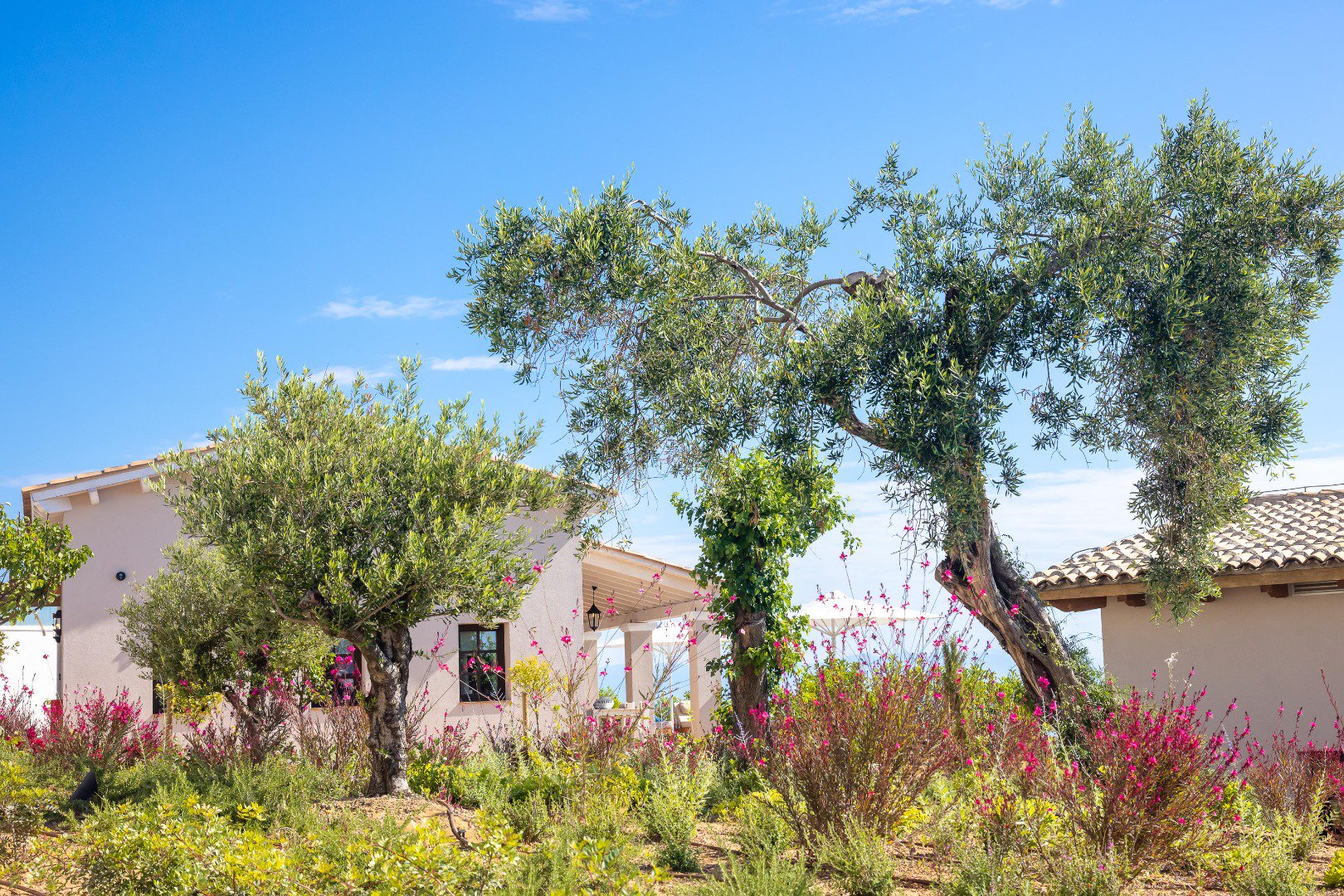 ionian seaview exterior corfu