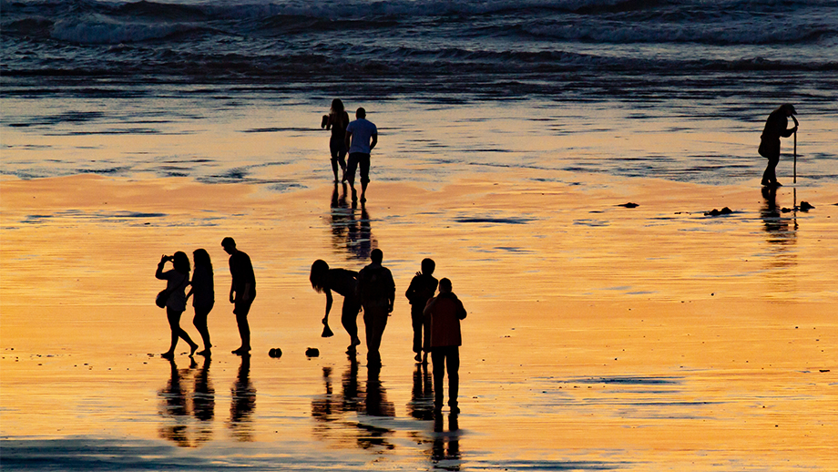 Shellfish Harvesting