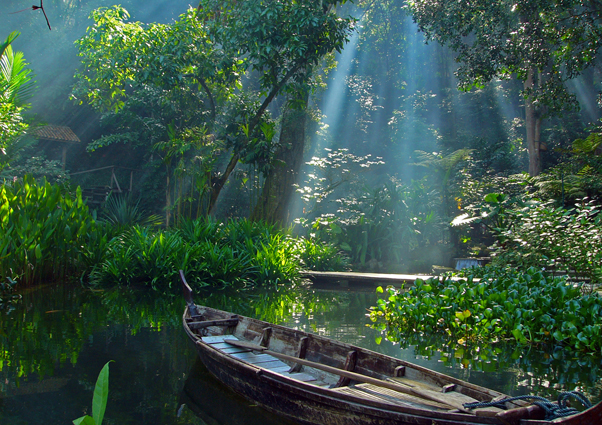 ttropical spice garden