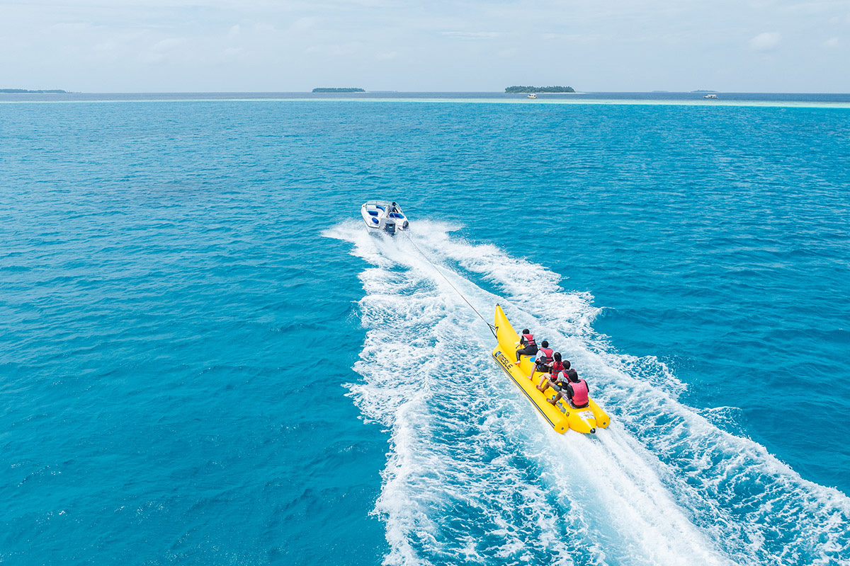 Angsana Velavaru - Bird Feeding Angsana Velavaru - Bird Feeding
