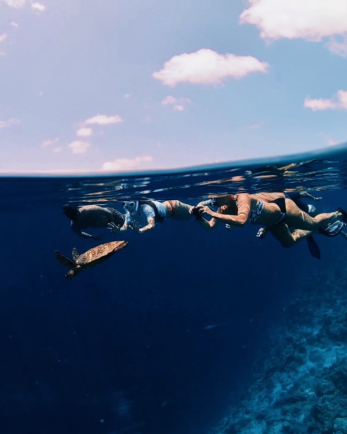 Angsana Velavaru - Snorkelling Explorer Angsana Velavaru - Snorkelling Explorer
