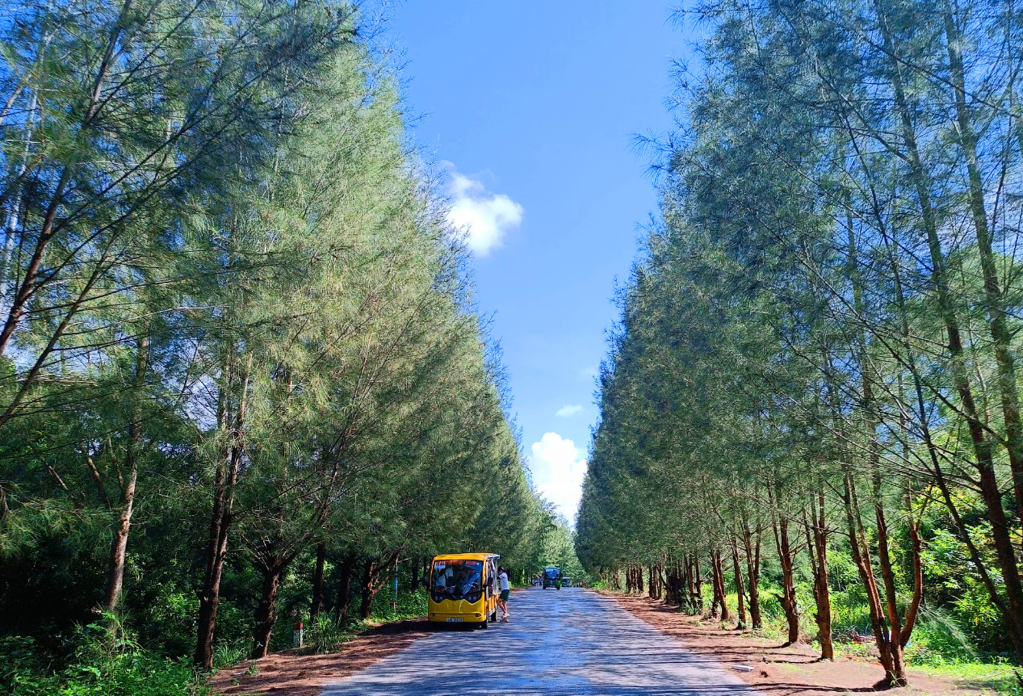 đường xuyên đảo minh châu - quan lạn