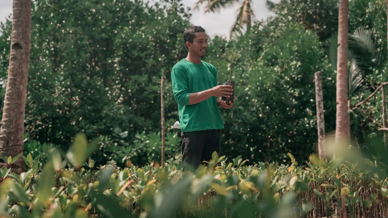 Mangrove Planting at Sungai Kecil
