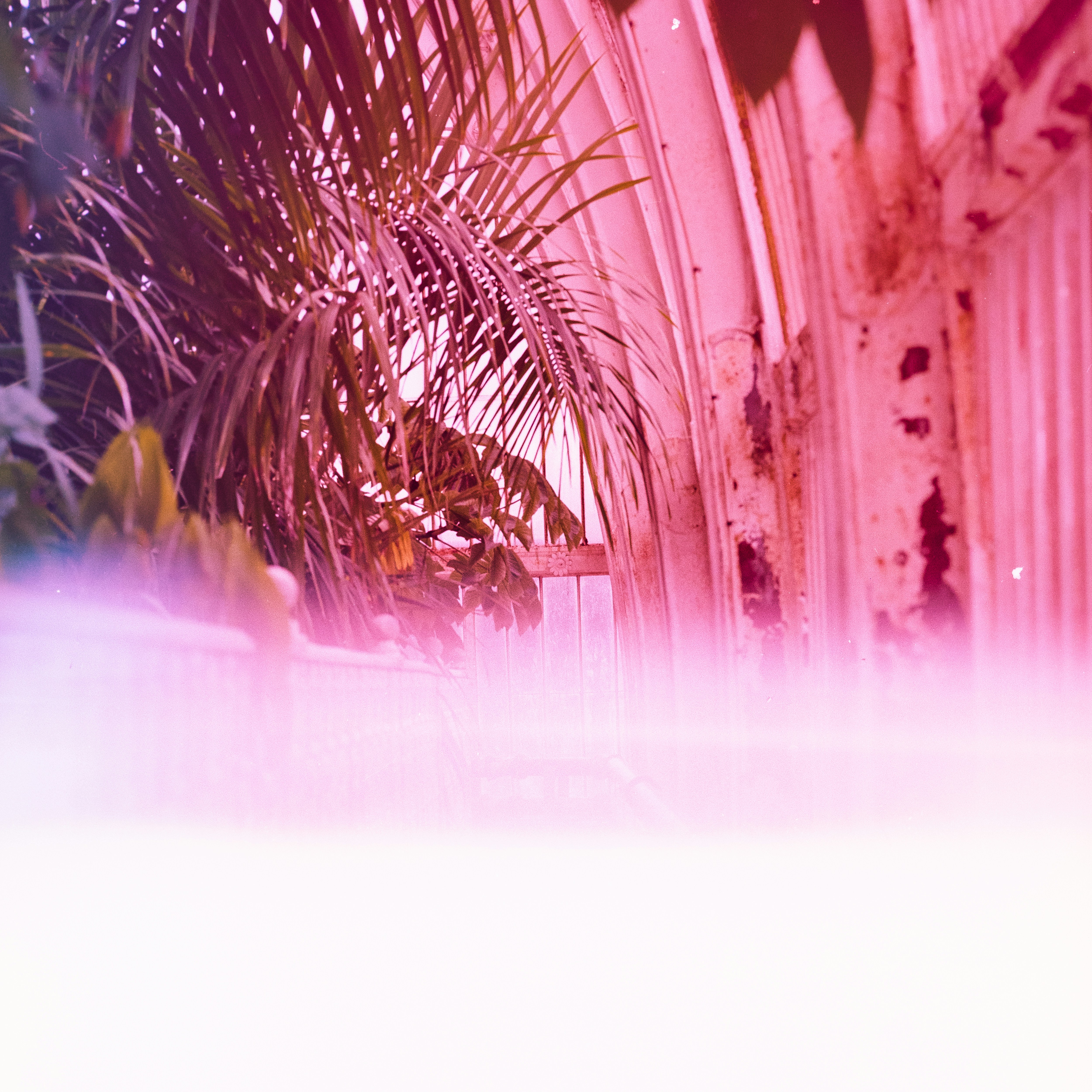 xana new year private party