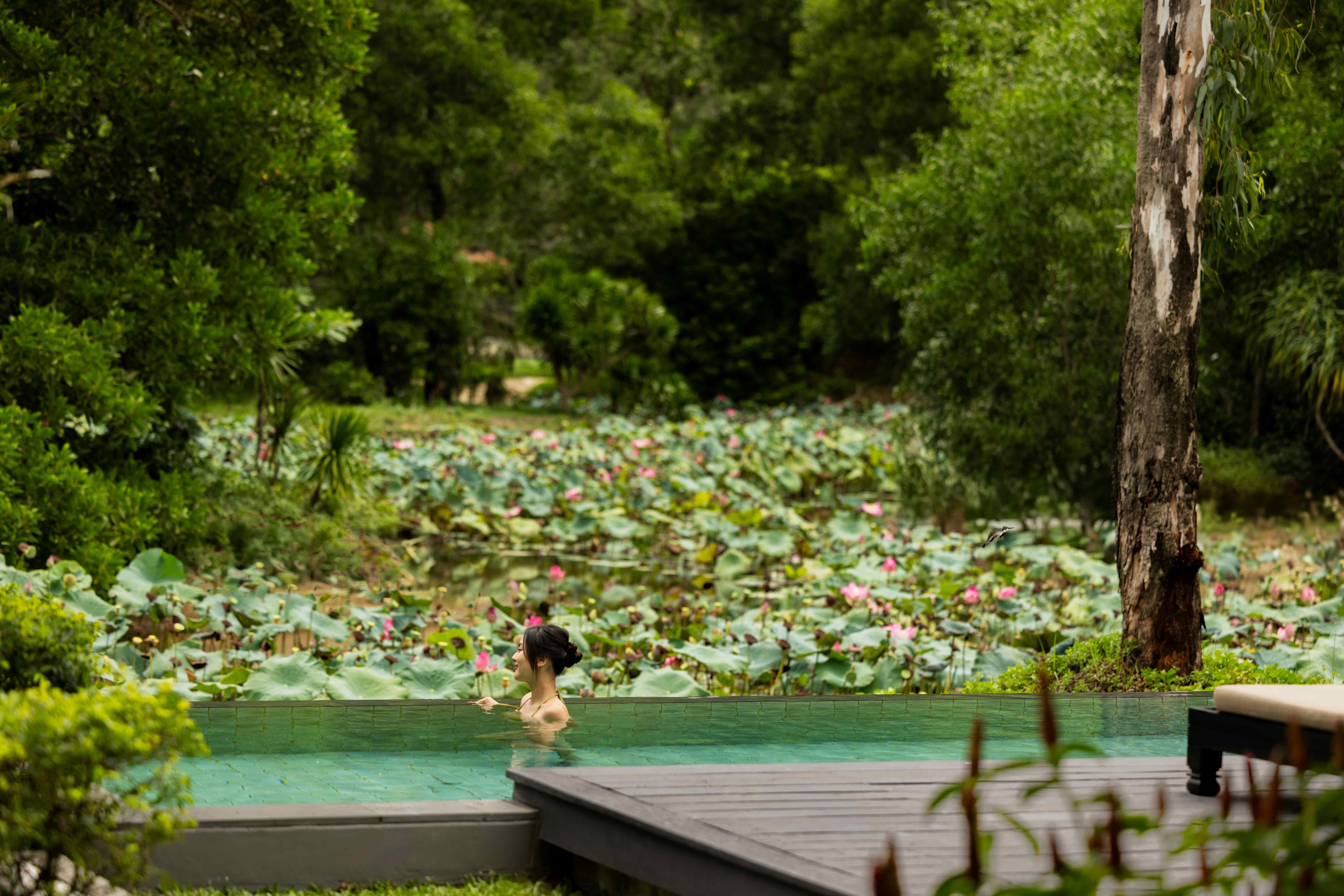 banyan tree lang co
