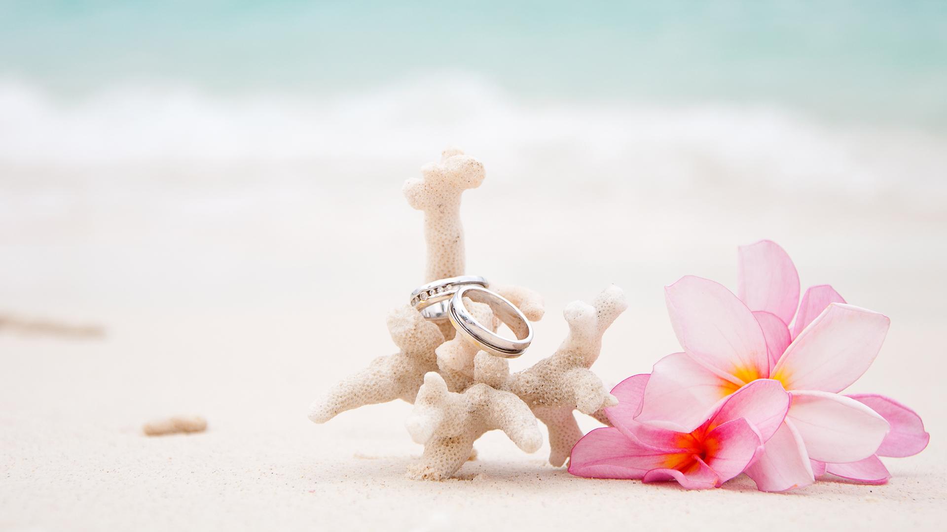 Barefoot Weddings and Seaside Romance